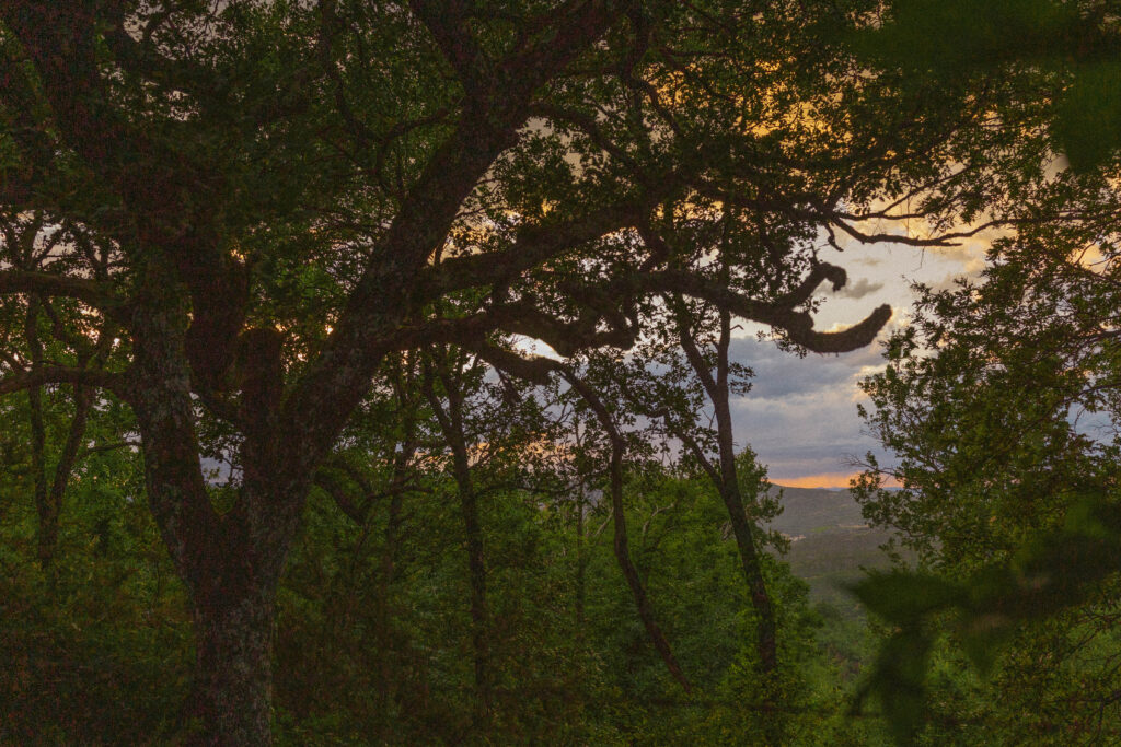 Sunset at Villa Olimpia during a Tuscany destination wedding